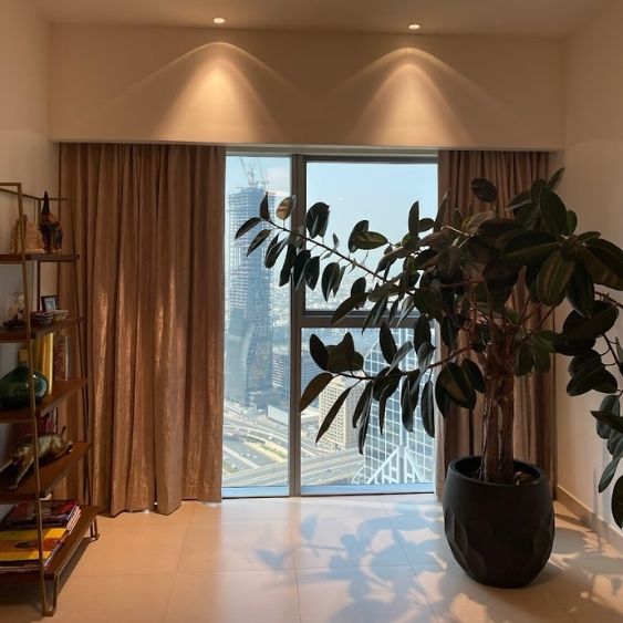 curtain shop near me