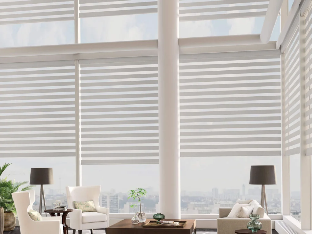Motorized Blackout Blinds