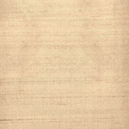 Silk Oceana 036